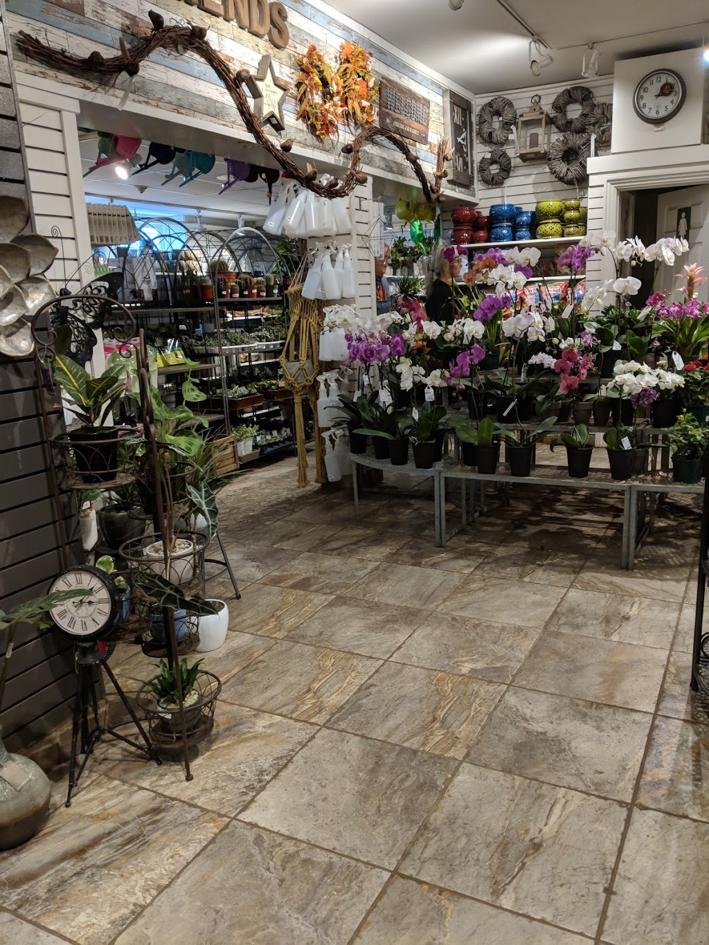 Sheridan Nurseries | 2827 Yonge St, Toronto, ON M4N 2J4, Canada | Phone: (416) 481-6429
