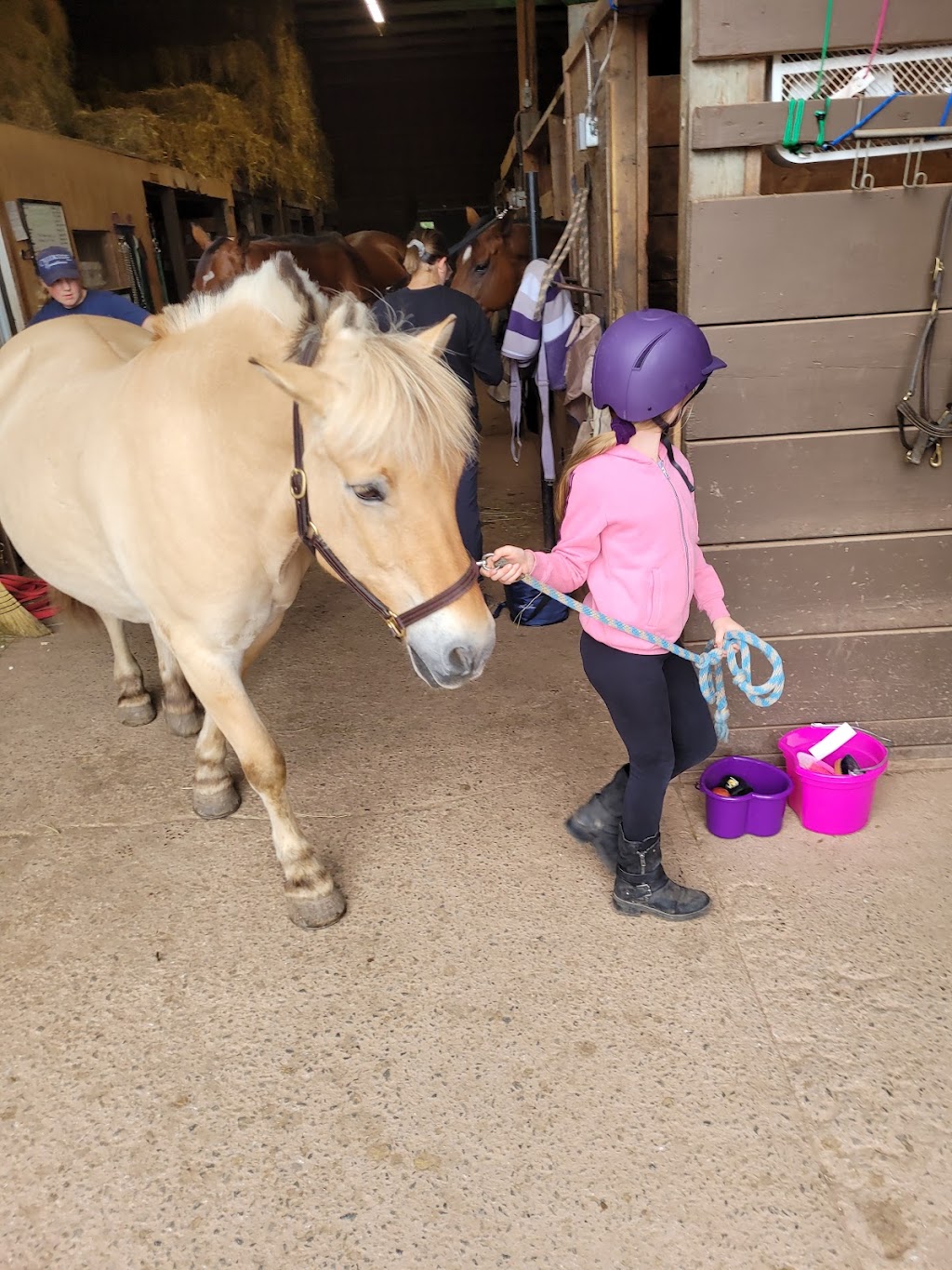 Creekside Equestrian Centre | 2370 Ohio East Rd, Antigonish, NS B2G 2K8, Canada | Phone: (902) 870-6456
