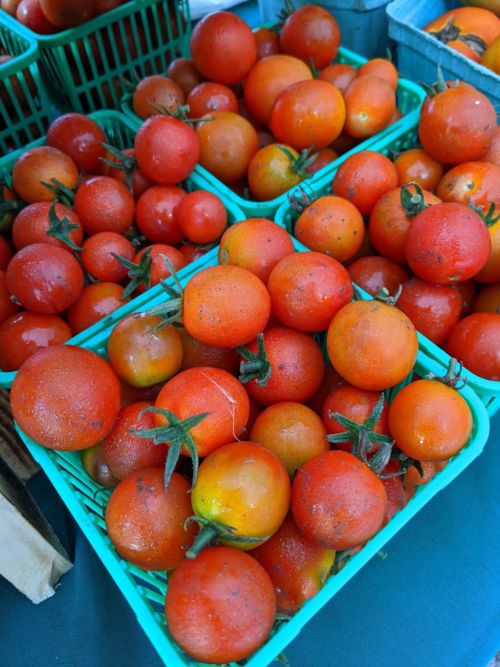 Villa Vida Loca Farm Market | 13350 ON-12, Sunderland, ON L0C 1H0, Canada | Phone: (416) 520-0249