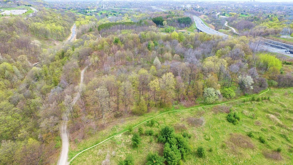 Red Hill Trail - south parking lot | 169 Mud St, Hamilton, ON L8K, Canada
