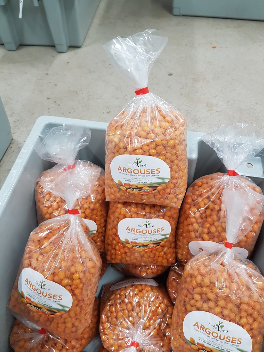 Ferme Majolimé - Argousier biologique | 530 Route 261, Saint-Sylvère, QC G0Z 1H0, Canada | Phone: (819) 609-2129