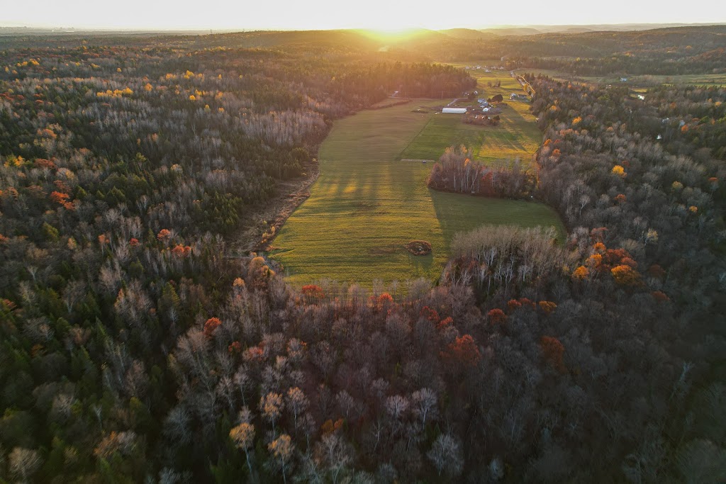 La Ferme Caminoix | 174 Mnt Beauchamps, Val-des-Monts, QC J8N 7K8, Canada | Phone: (613) 608-2137