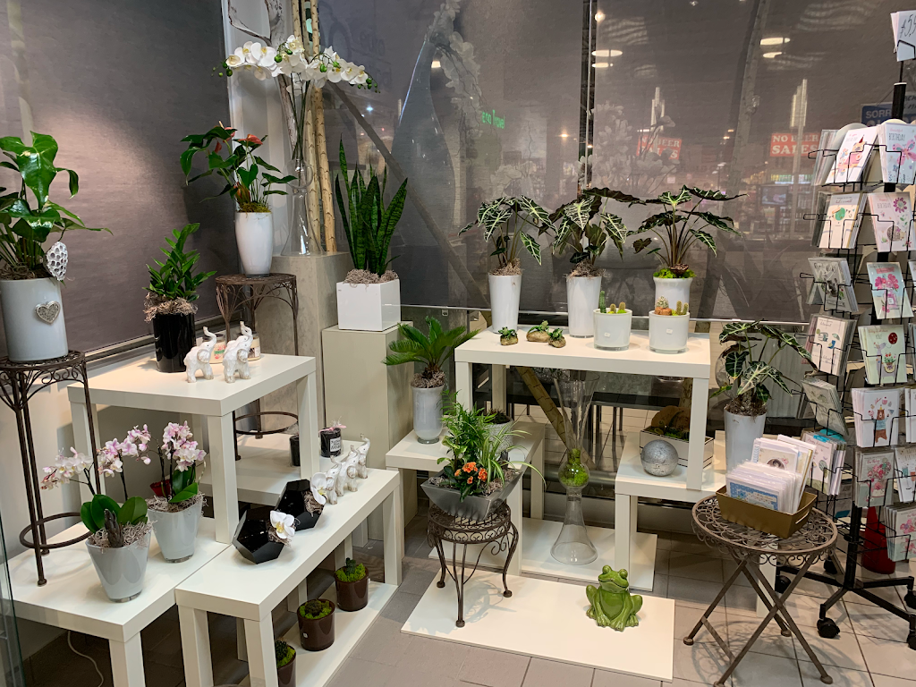 Lapegaz Flowers | Inside Starsky, 3115 Dundas St W, Mississauga, ON L5L 3R8, Canada | Phone: (905) 606-2111
