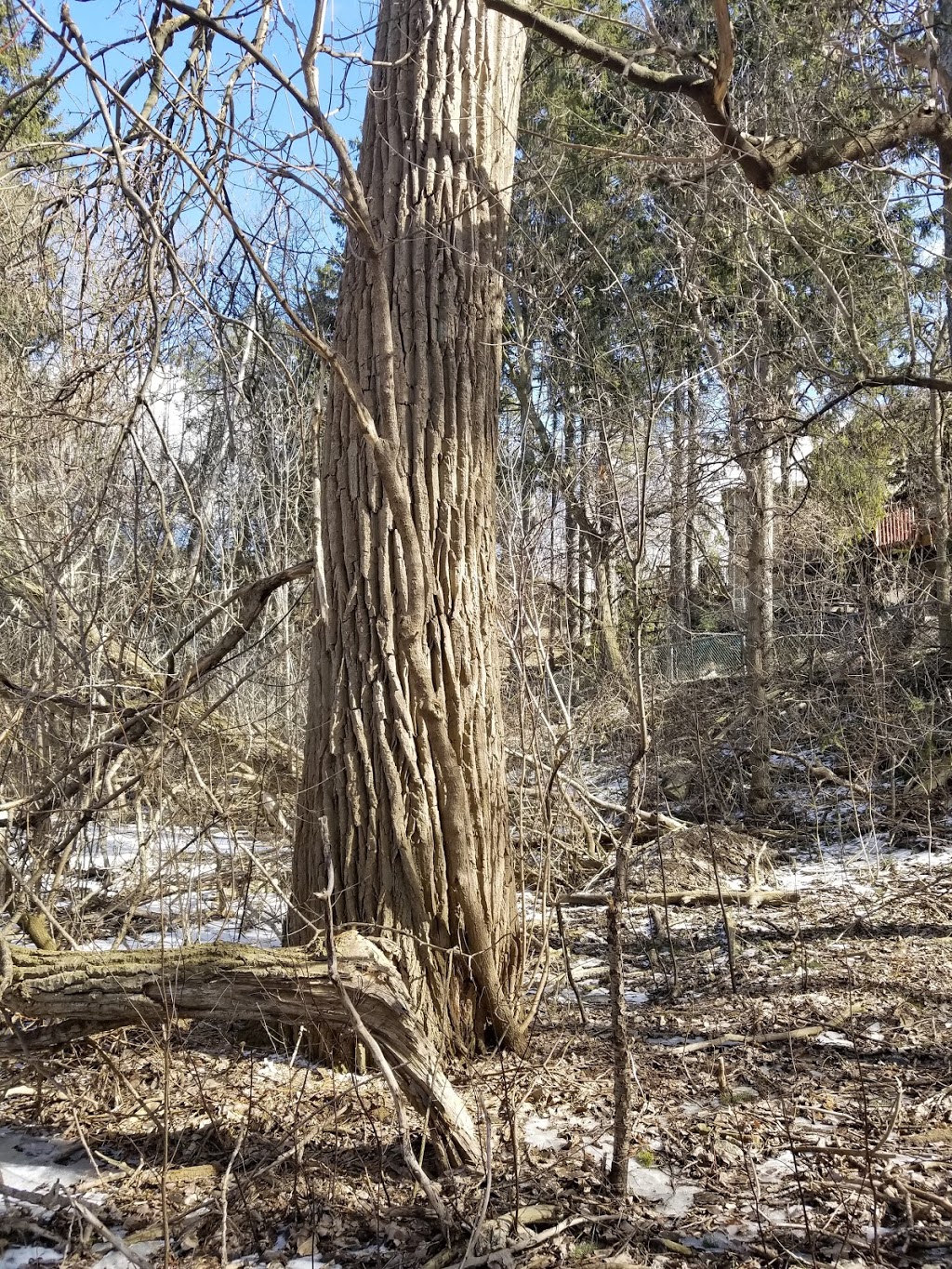 Craddock Park | Aurora, ON L4G 7G8, Canada