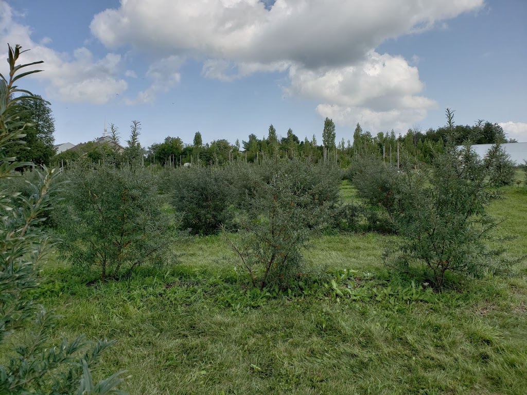 Montgomeryshire Fruits And Vegetables Farm Stand | Concession Rd 7, Uxbridge, ON L0C, Canada