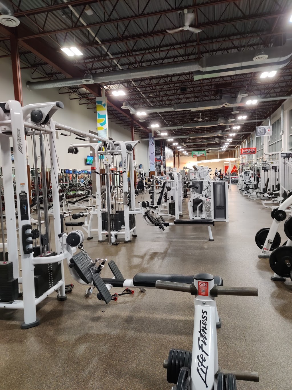 GoodLife Fitness Sudbury LaSalle and Gary | 2015 Lasalle Blvd, Sudbury, ON P3A 2A3, Canada | Phone: (705) 560-3193