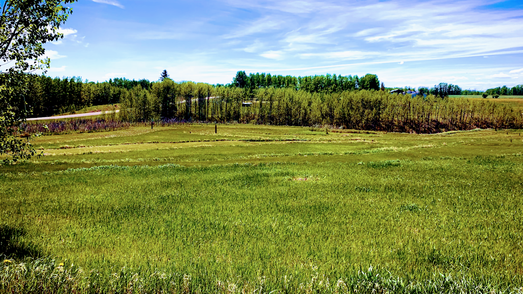 Hartmanns Hollow | 31166 Range Rd 20, Didsbury, AB T0M 0W0, Canada | Phone: (403) 559-9287