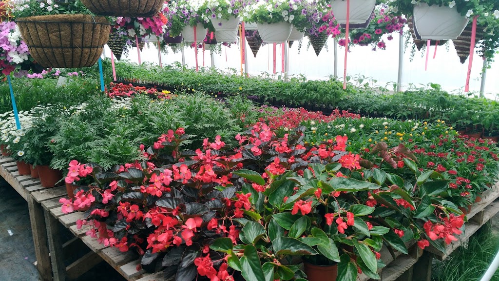 Jardins baie lactee | 1254 Chemin St Joseph, La Baie, QC G7B 3N9, Canada | Phone: (418) 446-1547