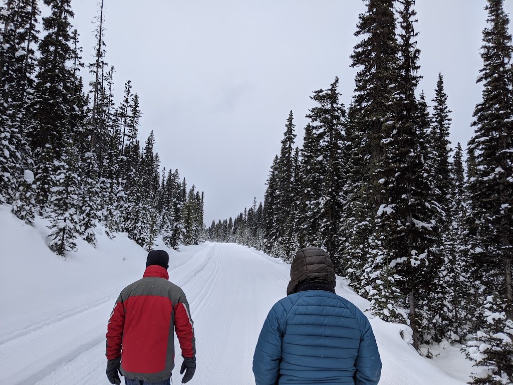 Kingmik Dog Sled Tours | 16430 Hwy 1A, Lake Louise, AB T0L 1E0, Canada | Phone: (855) 482-4592