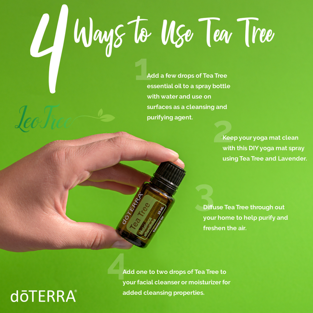 LeoTree Wellness | 123 Anywhere, Rapelje St, St Thomas, ON N5R 0H1, Canada | Phone: (519) 200-9185