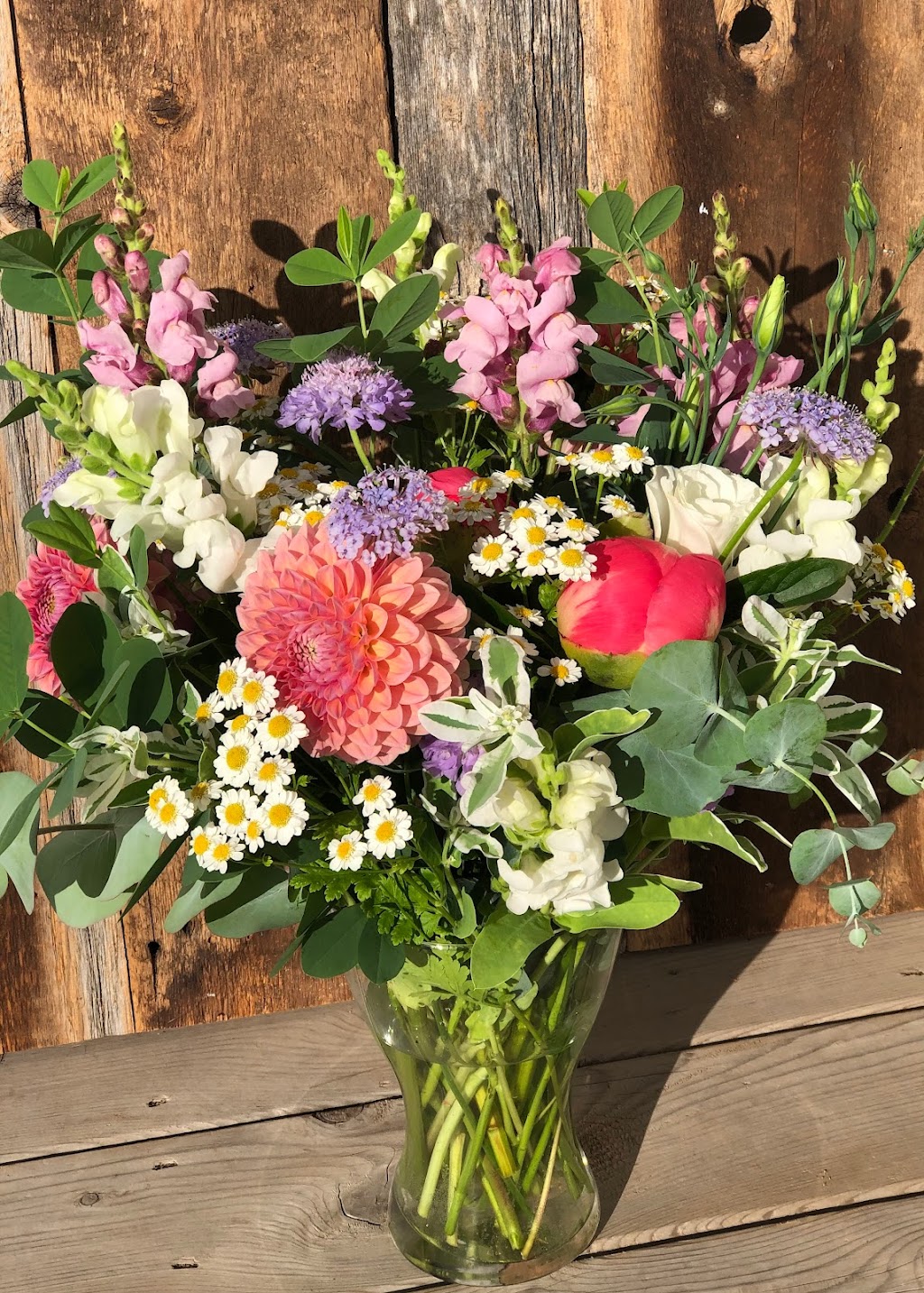 Two Blooms Flower Farm | 31 Gary Rd, Steeves Mountain, NB E1G 0S9, Canada | Phone: (506) 380-1170