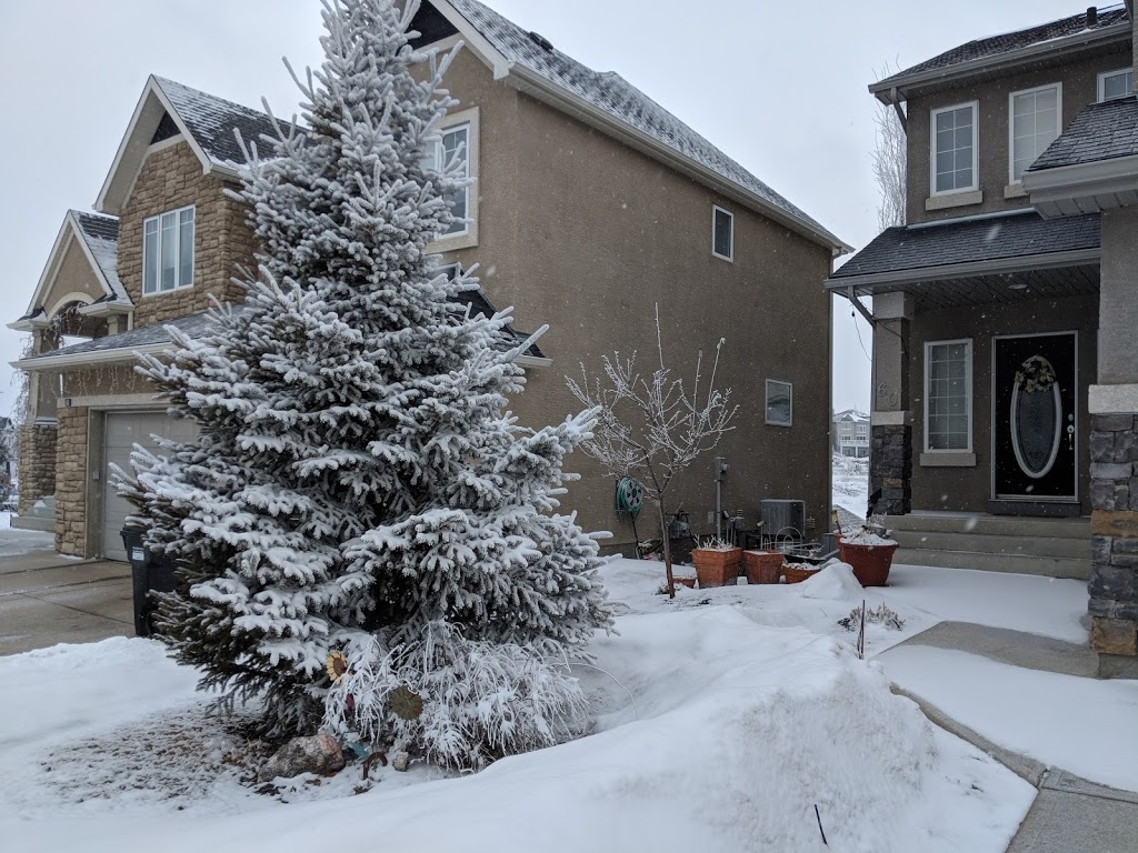 Elmira Park | 46 Elkton Way SW, Calgary, AB T3H 4Y8, Canada