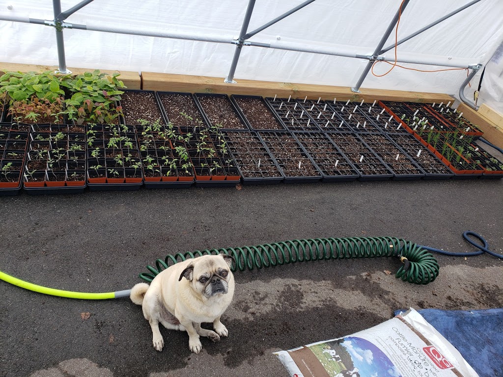 Happy Maple Nursery | 19 Parmalea Crescent, Nepean, ON K2E 7J1, Canada | Phone: (613) 266-7045