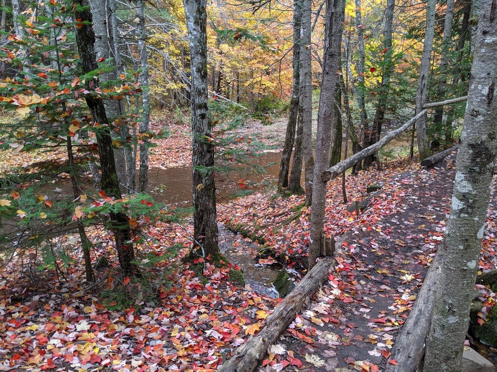 Dobson Trail | 633 Pine Glen Rd, Pine Glen, NB E1J 1S1, Canada | Phone: (506) 384-3212