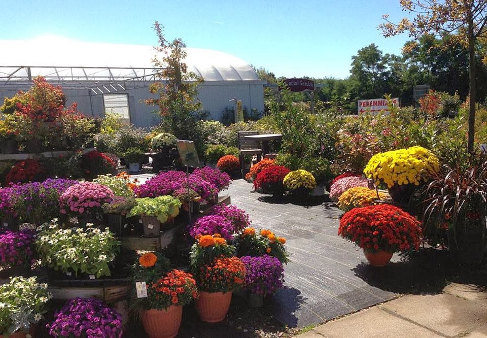 Blomidon Nurseries | 10060 Nova Scotia Trunk 1, Wolfville, NS B4P 2R2, Canada | Phone: (902) 542-3346