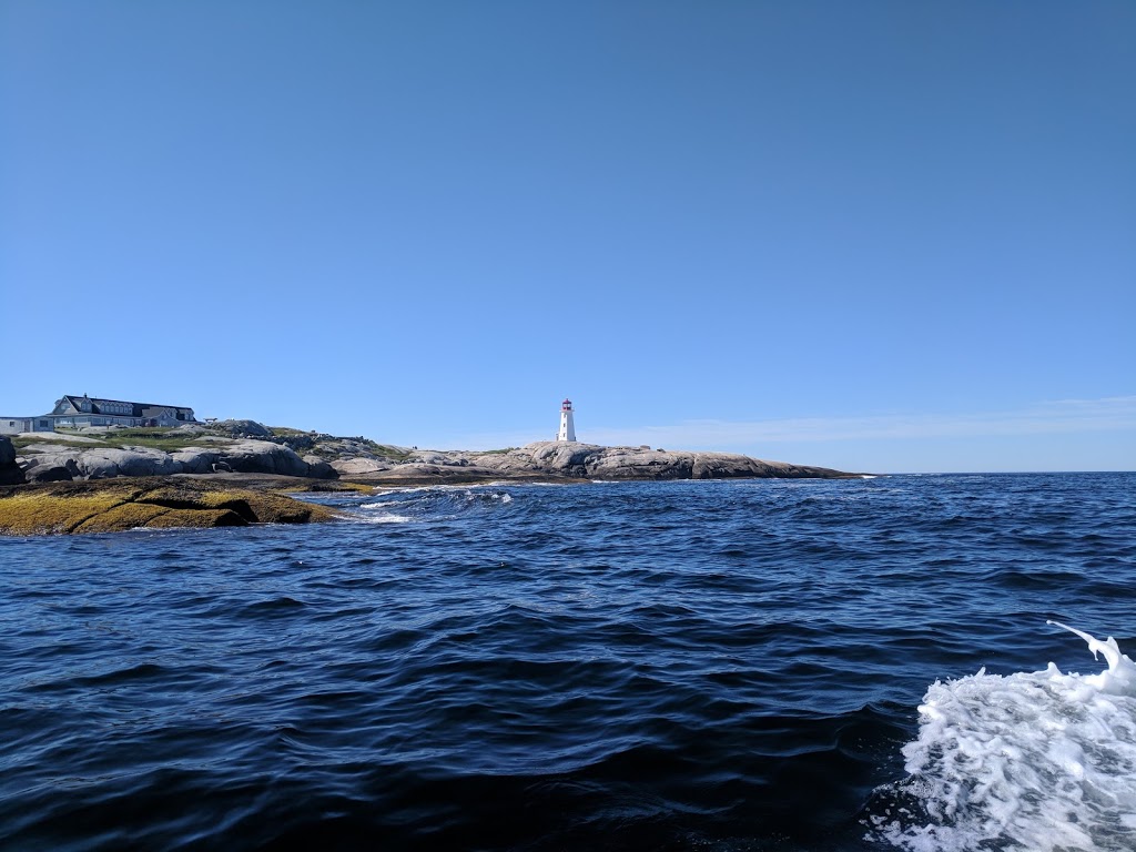 Peggys Cove Boat Tours | travel agency | Government Wharf, Peggys Cove, NS B3Z 3S2, Canada | 9025419177 OR +1 902-541-9177