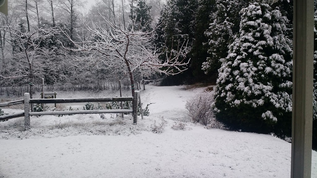 Heron Crest Park | 5961 Pacific Heights Dr, Ferndale, WA 98248, USA | Phone: (360) 685-2379