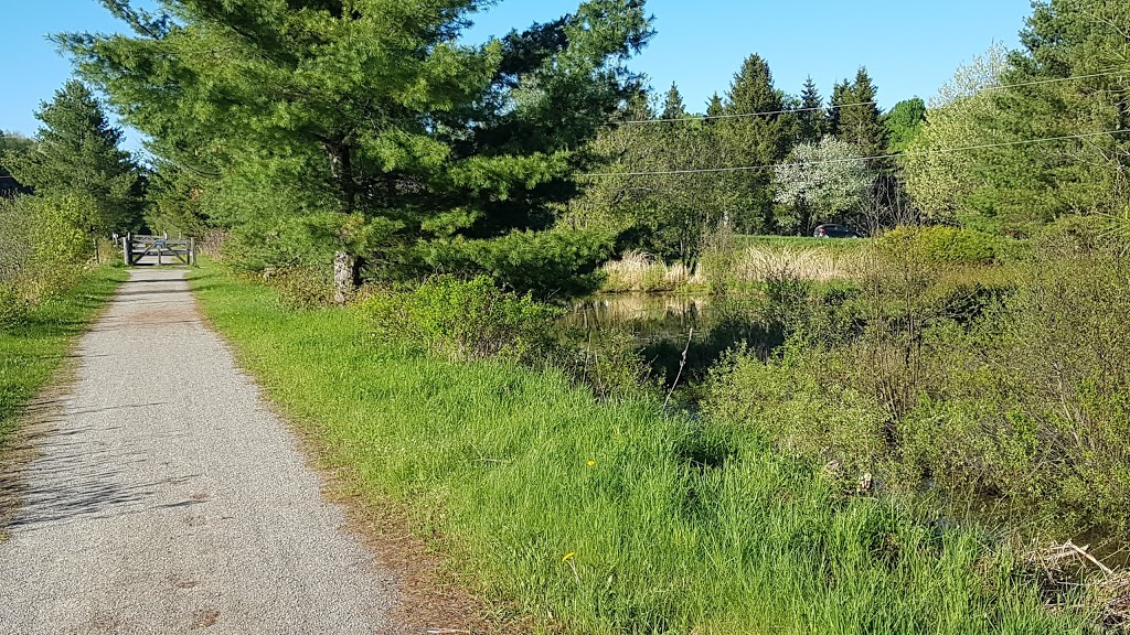 Étang Curtis Ayers Cliff | 450539 Oxford County Rd 6, Embro, ON N0J 1J0, Canada