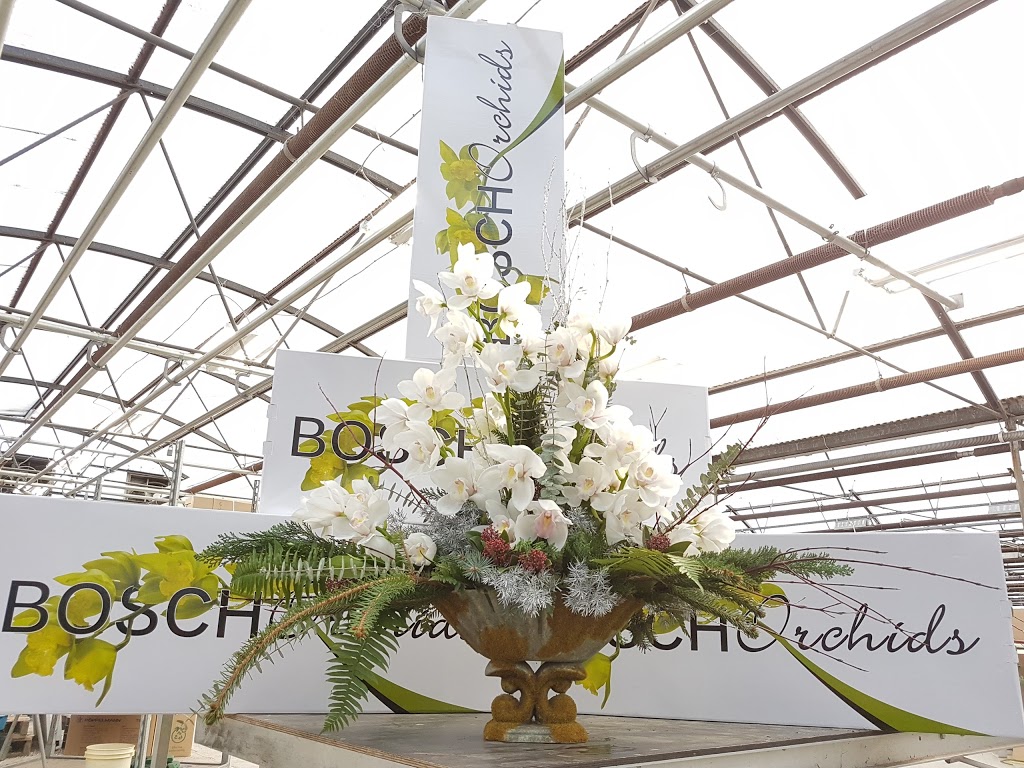 Bosch Orchids | Yale Rd, Chilliwack, BC V4Z 0A9, Canada | Phone: (604) 795-3555