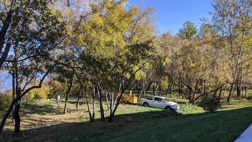 Cypress Tree & Lawn Care | 1024 2 St E, Prince Albert, SK S6V 0G7, Canada | Phone: (306) 999-2230