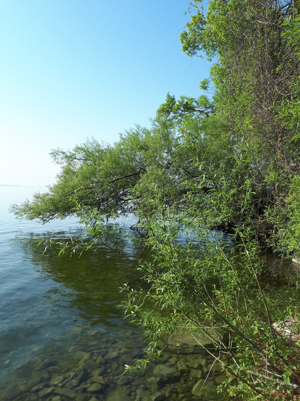 Camp Arrowhead | 684 6th Line, Innisfil, ON L9S 4R6, Canada | Phone: (416) 432-8258