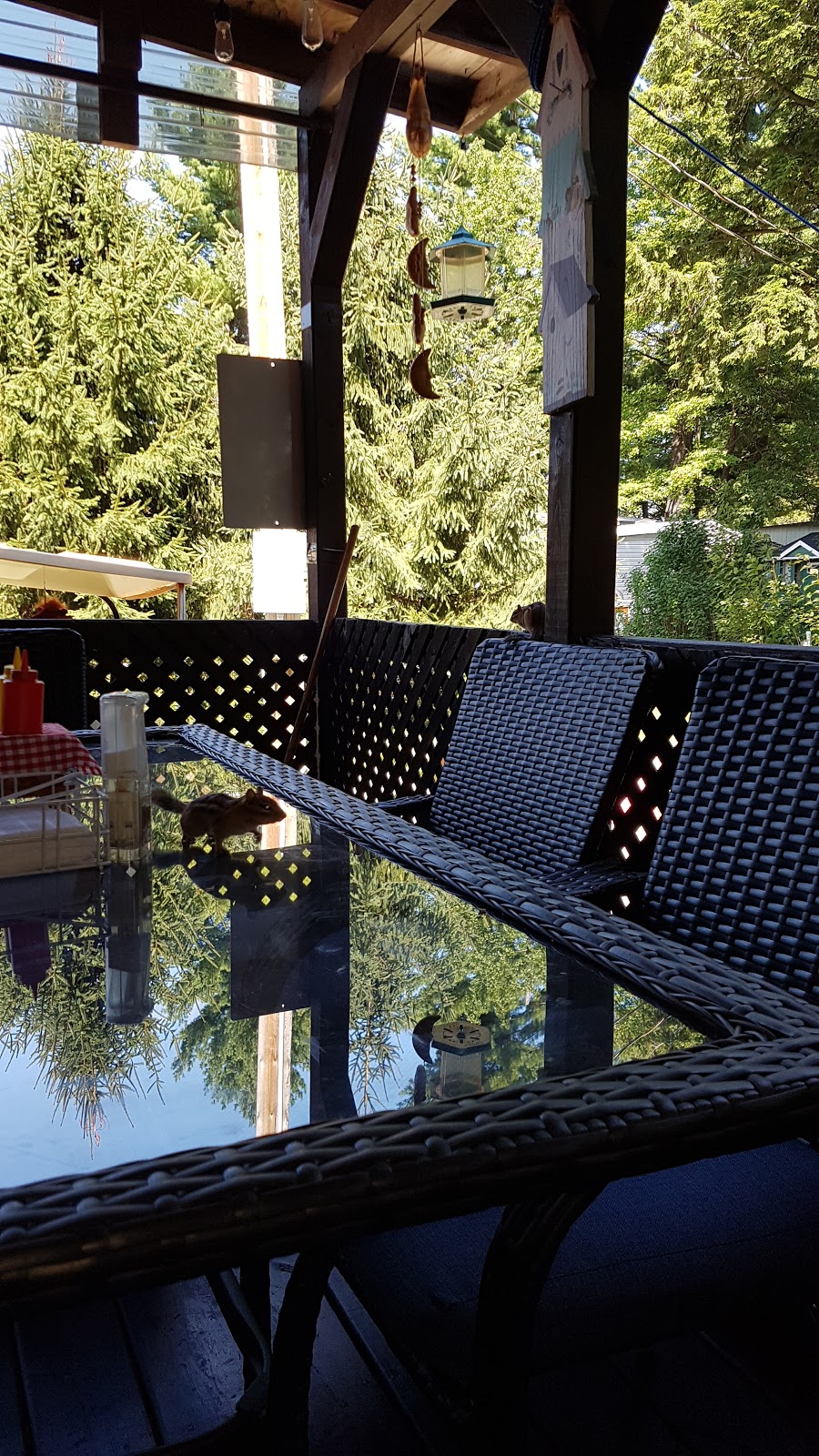 Camping Domaine de la Frontière Enchantée | 474 Chemin de Covey Hill, Havelock, QC J0S 2C0, Canada | Phone: (450) 826-4490