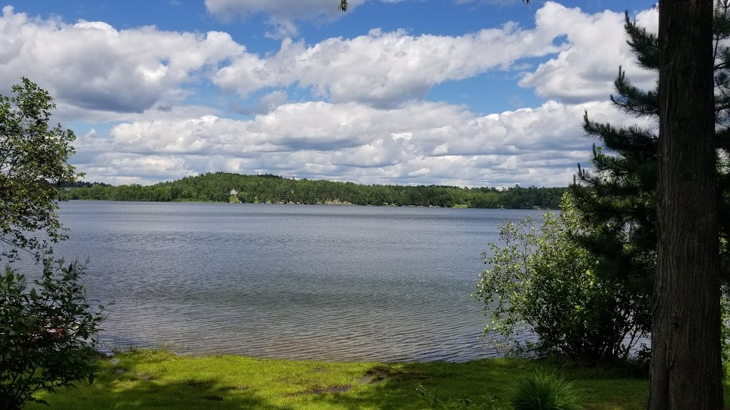Camping Barbe inc. | 236 Chemin de Blue Sea, Blue Sea, QC J0X 1C0, Canada | Phone: (819) 463-3494