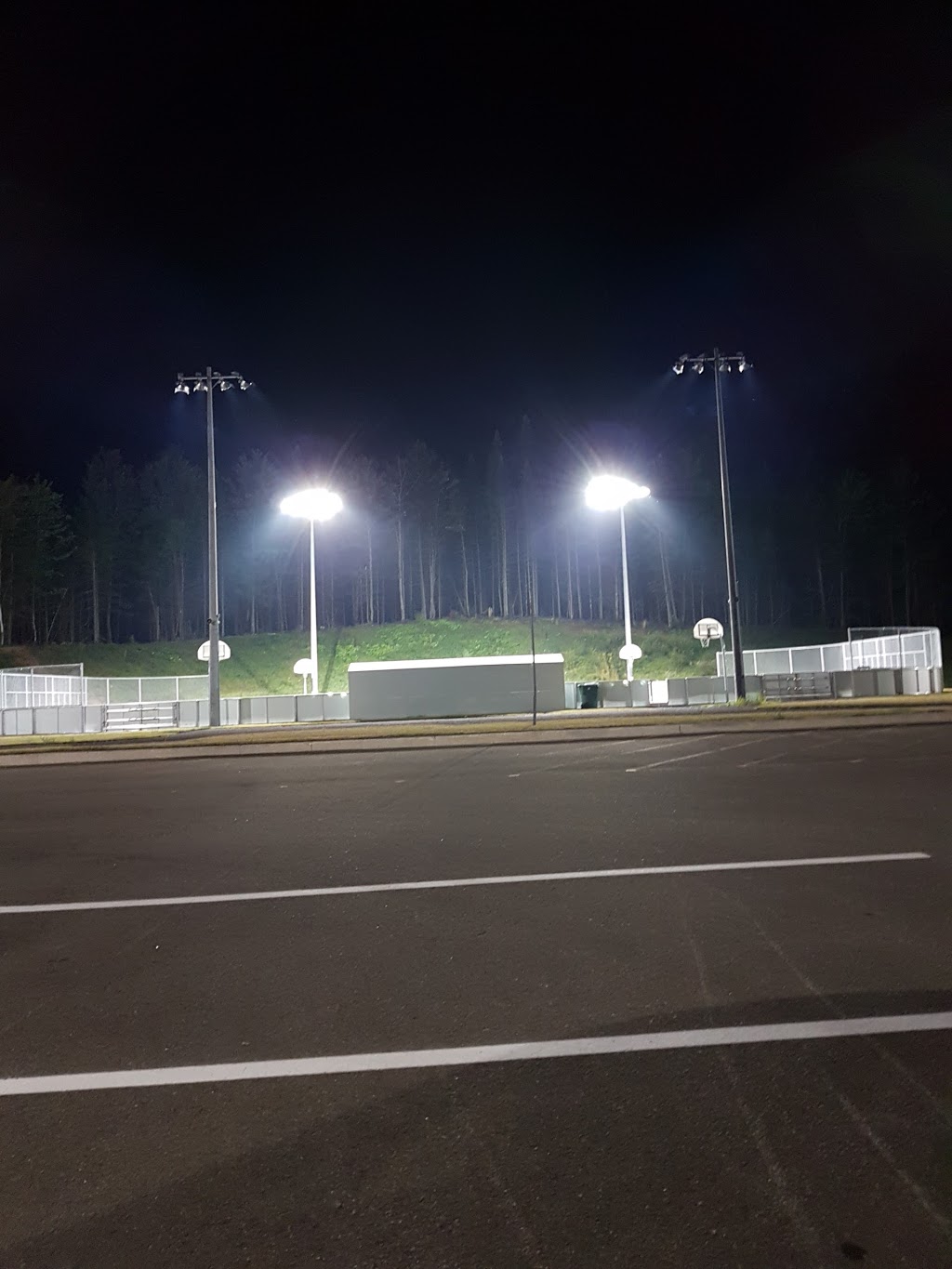 Parc Des Saphirs | 175 Rue Kildare, Sainte-Brigitte-de-Laval, QC G0A 3K0, Canada