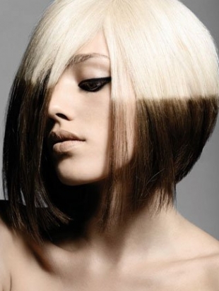 MLord & MLadys Hair Court Inc | 2054 James St, Burlington, ON L7R 1H3, Canada | Phone: (905) 632-1443