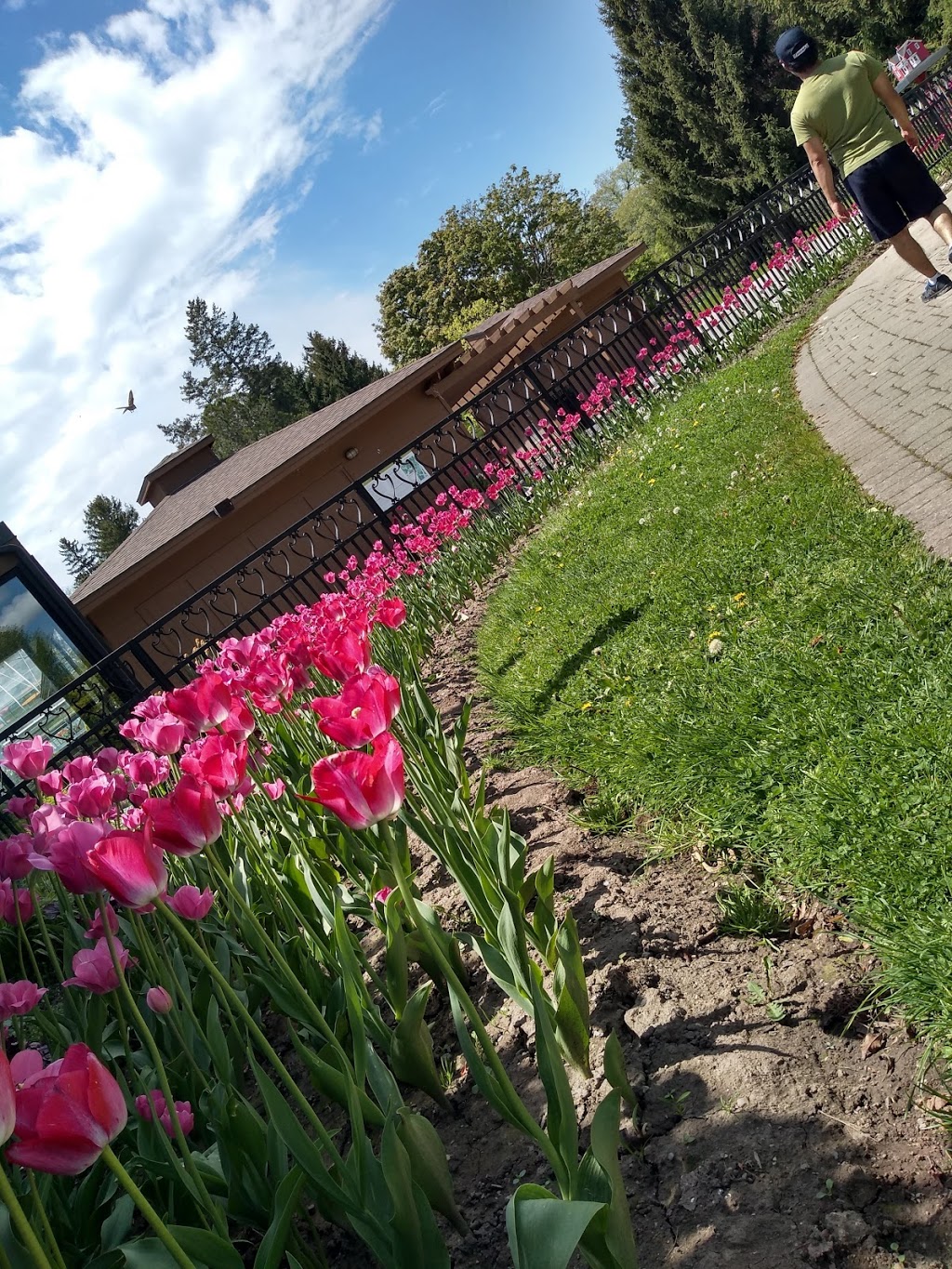 Fenwick Floral & Garden | 1033 Canboro Rd, Fenwick, ON L0S 1C0, Canada | Phone: (905) 892-1616