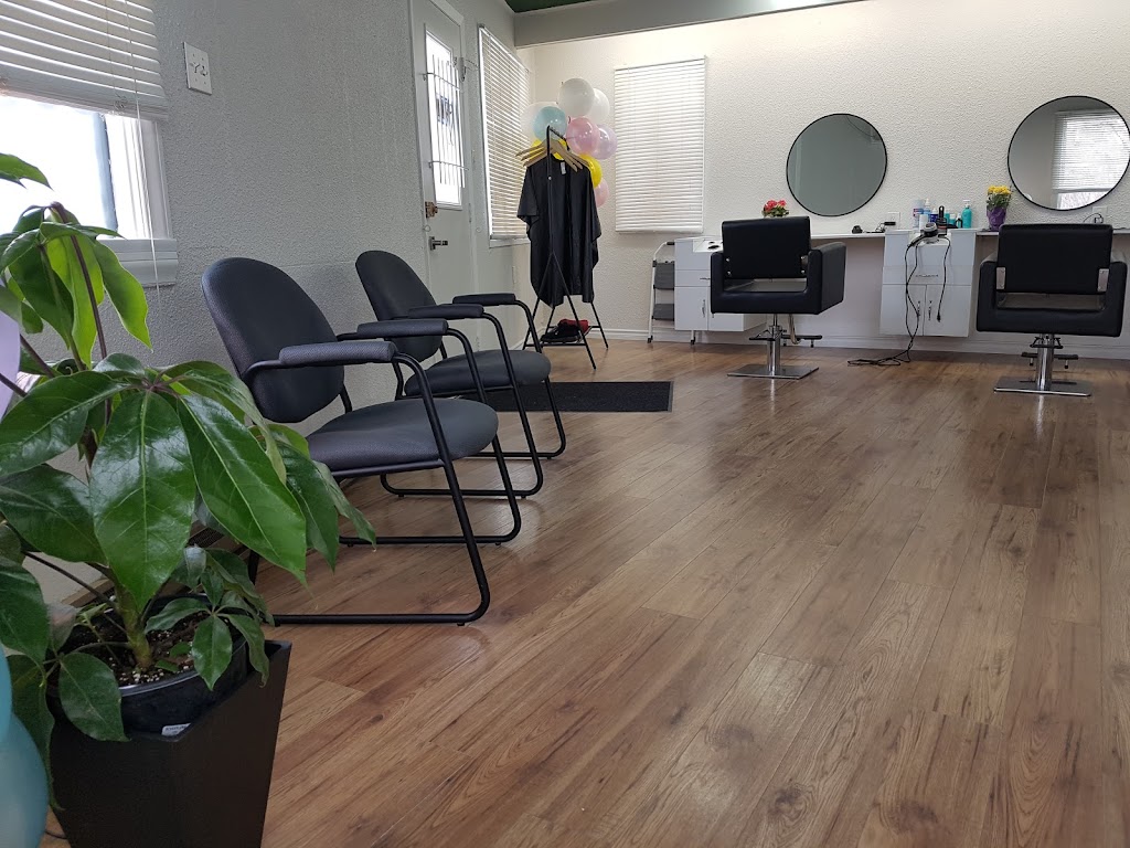 STUDIO P.ART Hair Design | 662 McPhillips St, Winnipeg, MB R2X 2H3, Canada | Phone: (204) 582-0755