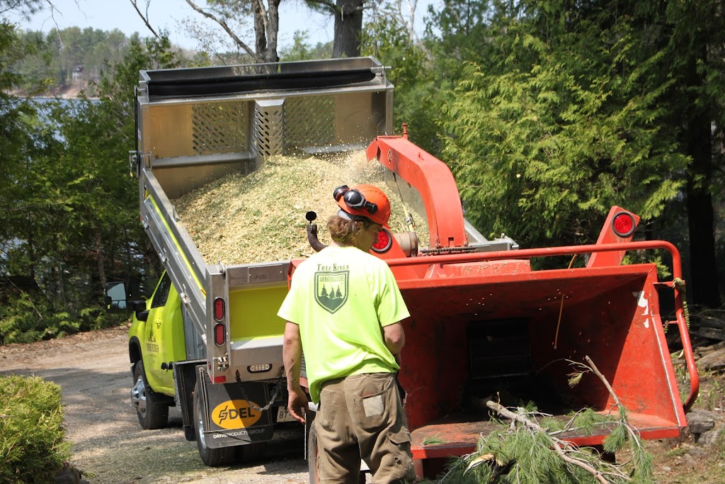 TreeKings Arboriculture Inc. | 1414 Caribou Rd, Minden Hills, ON K0M 1S0, Canada | Phone: (705) 457-5716
