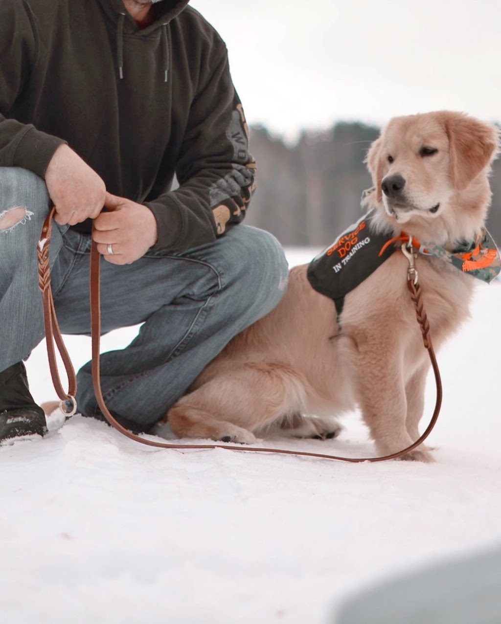 Glenannon Station Golden Retrievers | 41207 Glenannon Rd, Wingham, ON N0G 2W0, Canada | Phone: (519) 357-7220