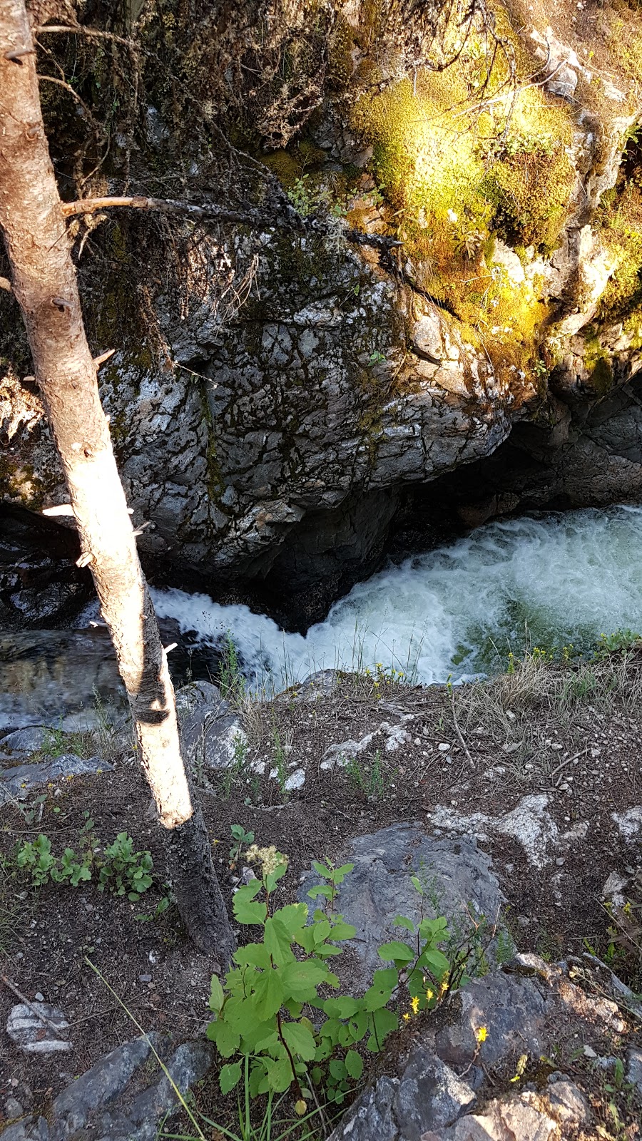Ashton Creek Falls | North Okanagan F, BC V0E 1V5, Canada