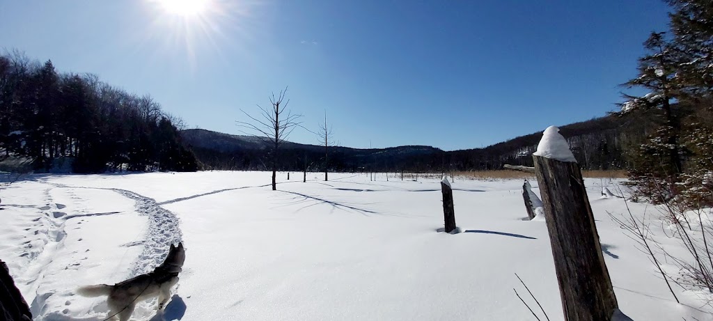 Parc Jean-Paul Forand | 167 Chemin Picard, Shefford, QC J2M 1J1, Canada | Phone: (450) 539-2258
