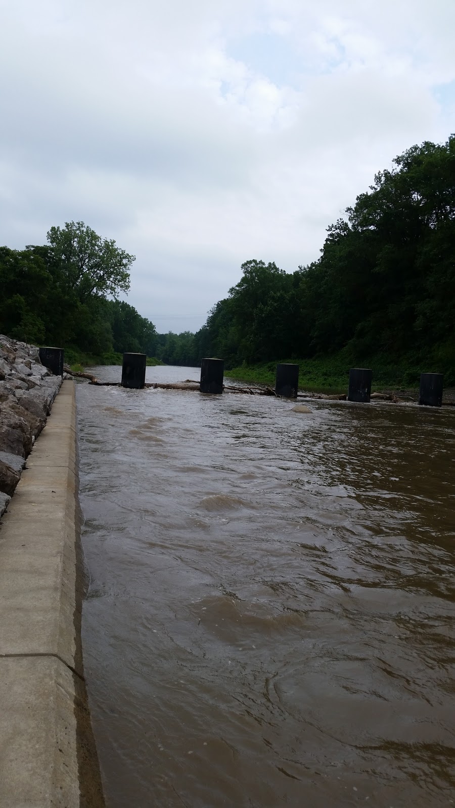 Cazenovia Creek Wildlife Management Area | West Seneca, NY 14224, USA