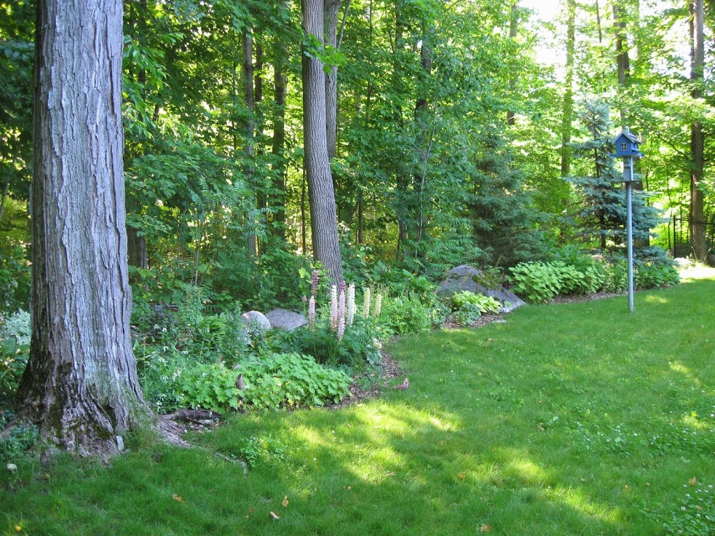 Enviroscape Inc. | 838369 4 Line #2, Mulmur, ON L9V 0J7, Canada | Phone: (705) 466-6290