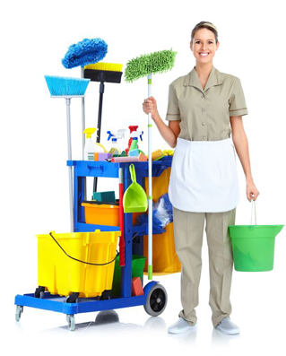 Shine Tech Group Ltd. | 7003 Steeles Ave W Unit #5, Etobicoke, ON M9W 0A2, Canada | Phone: (647) 955-9532