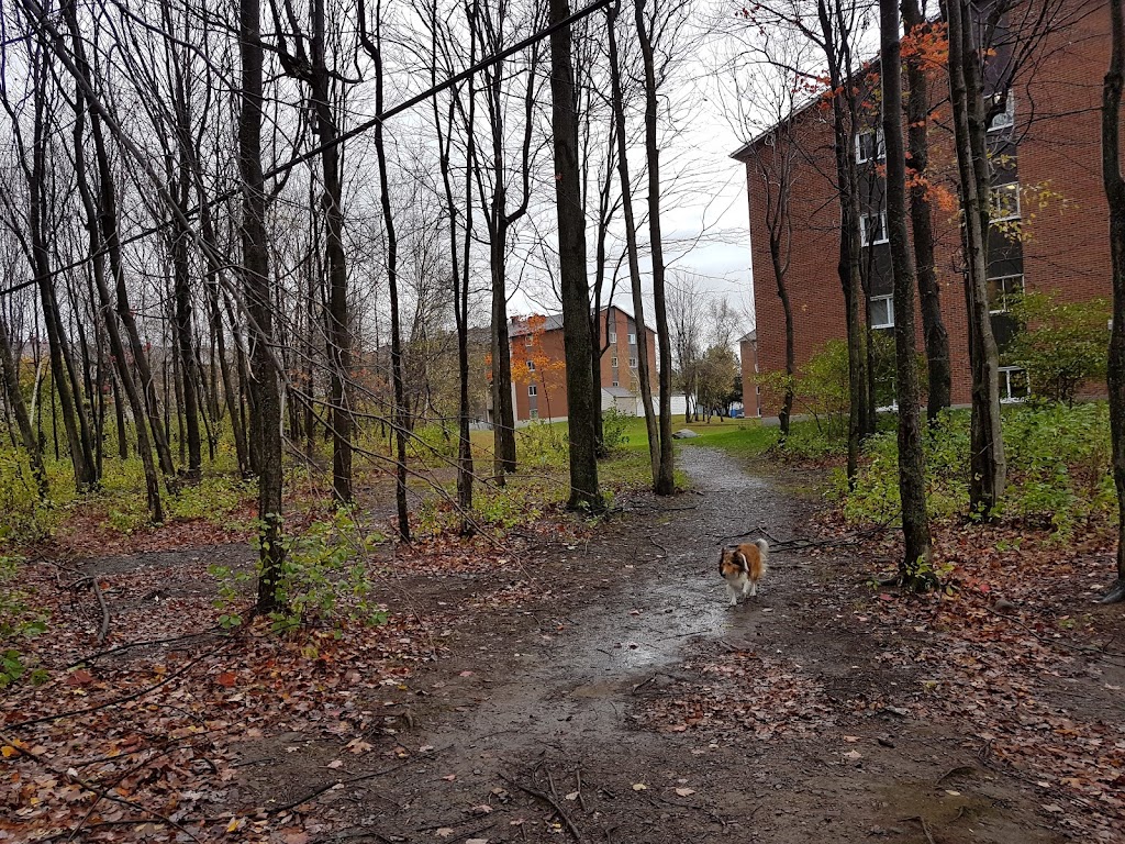 Parc Henri-Martin | 241 Rue Dureault, Granby, QC J2J 2Z7, Canada | Phone: (450) 776-8282