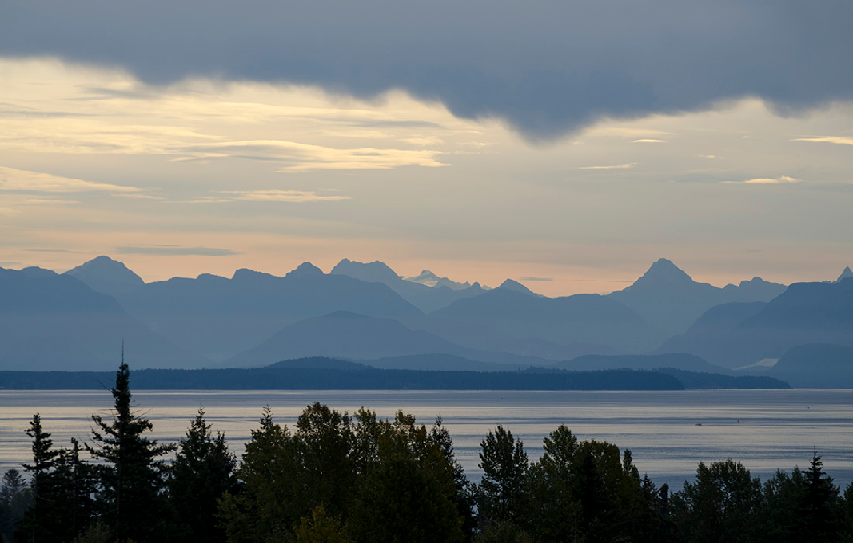 Homestead Services | 434 Allwood Rd, Parksville, BC V9P 1C4, Canada | Phone: (250) 937-0487