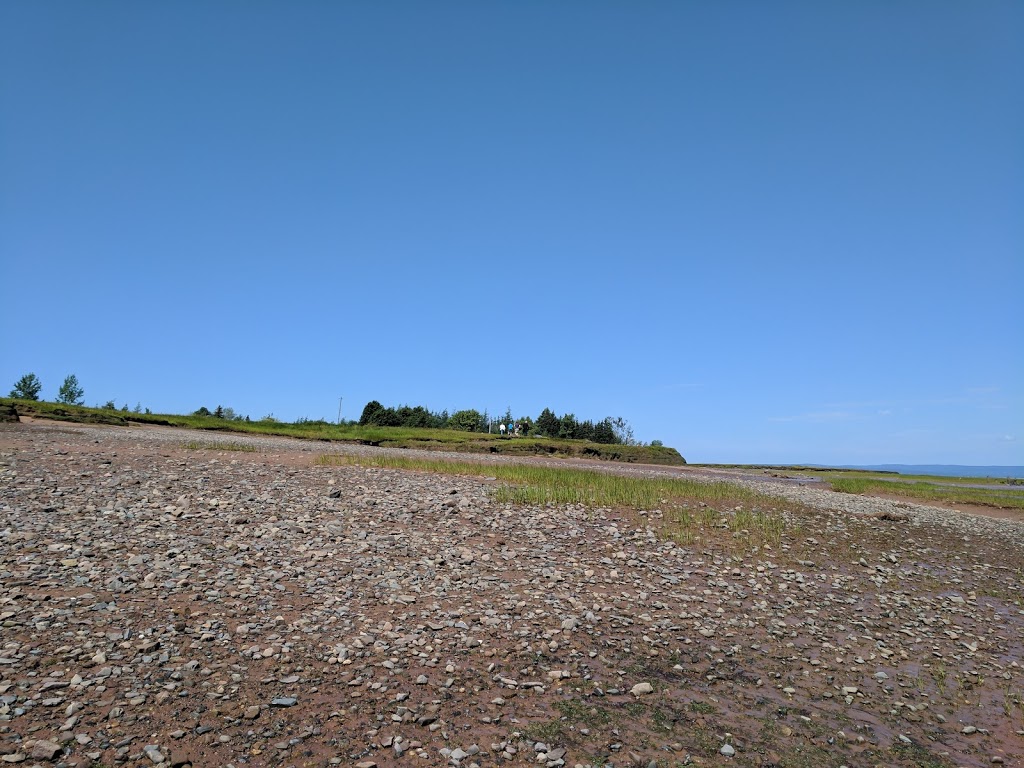 Beautiful Views At Low Tide | 38 Lighthouse Ln, Maitland, NS B0N 1T0, Canada