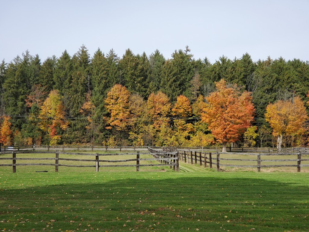 Blue Heron Equestrian | 1880 Concession 4 W, Troy, ON L0R 2B0, Canada | Phone: (905) 717-5027