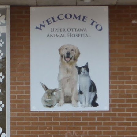 Upper Ottawa Animal Hospital | 868 Mohawk Rd E, Hamilton, ON L8T 2R5, Canada | Phone: (905) 388-0770