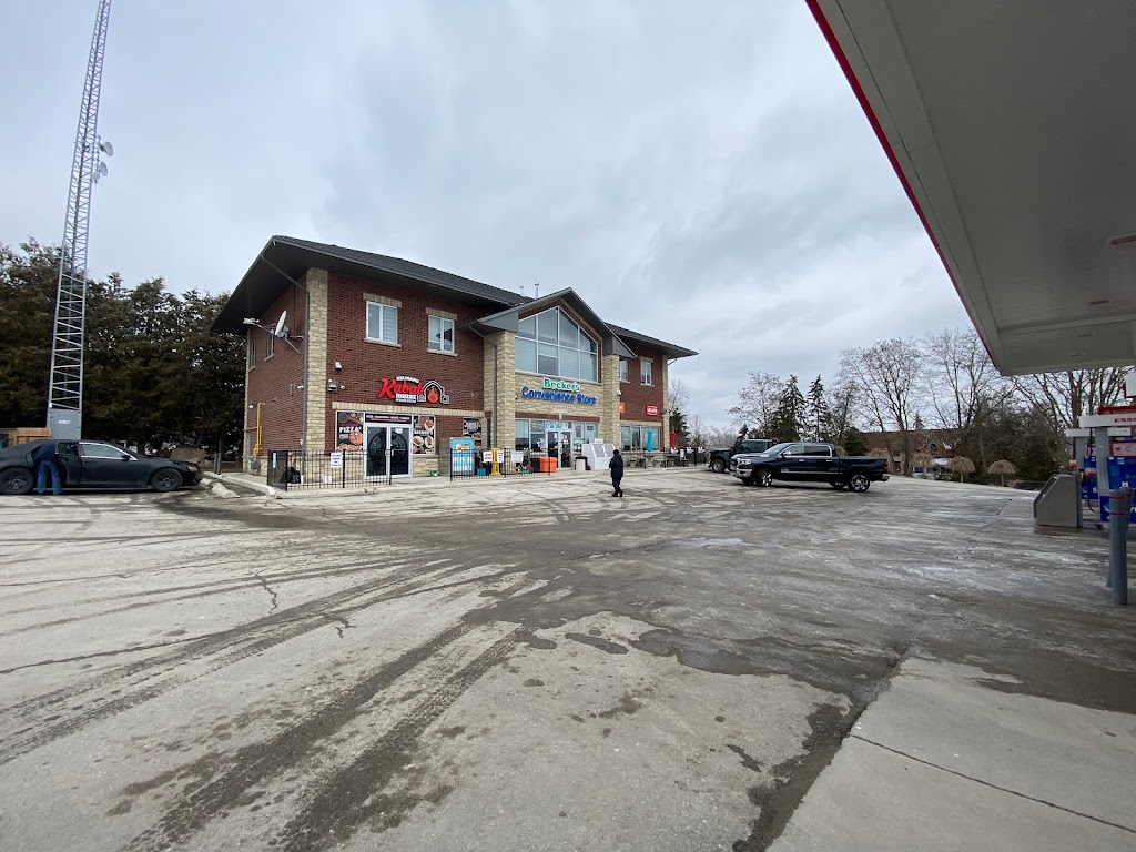 Helmand Kabab House | 8906 Wellington Rd 124, Guelph, ON N1H 6H7, Canada | Phone: (519) 362-9254