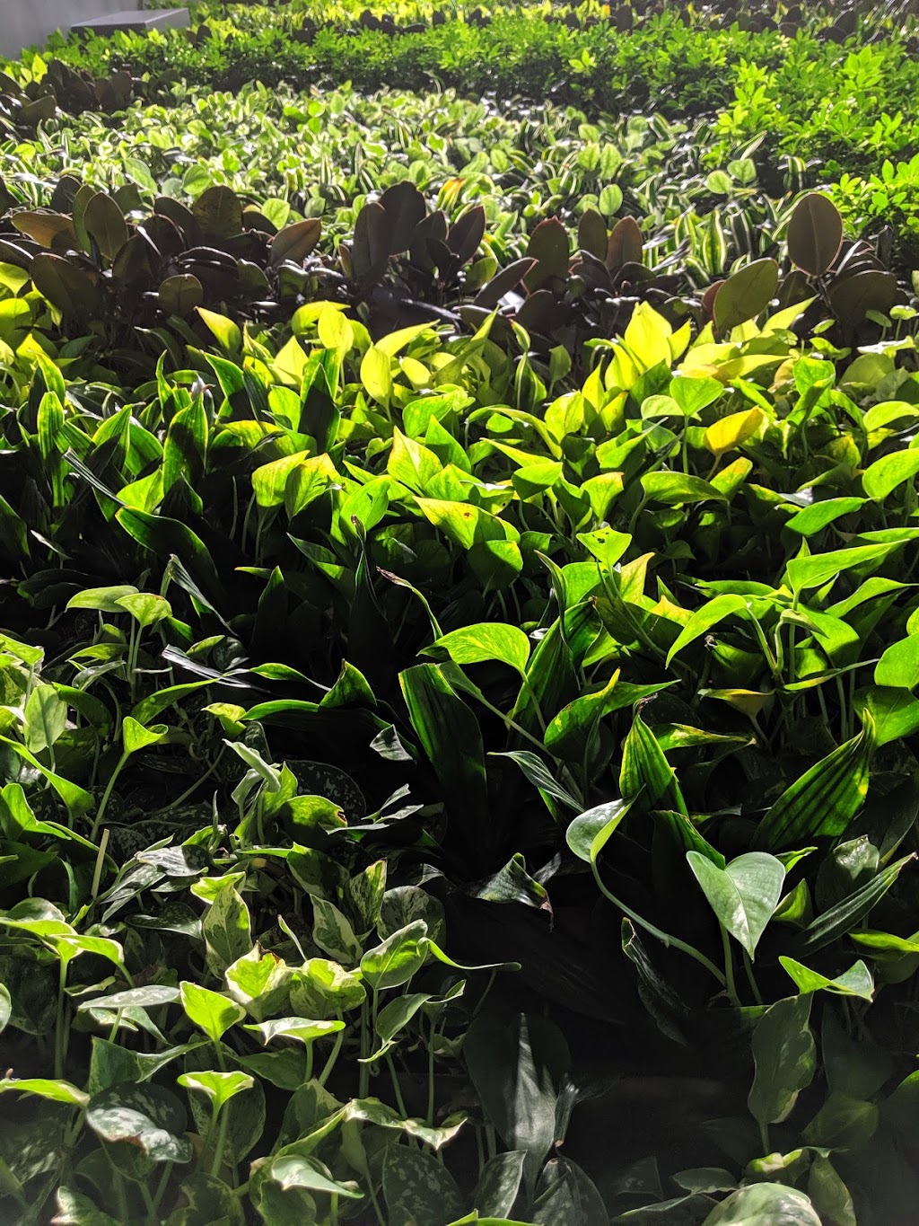 Sustainable Waterloo Region | 420 Wes Graham Way Suite #102, Waterloo, ON N2L 0J6, Canada | Phone: (519) 603-2223