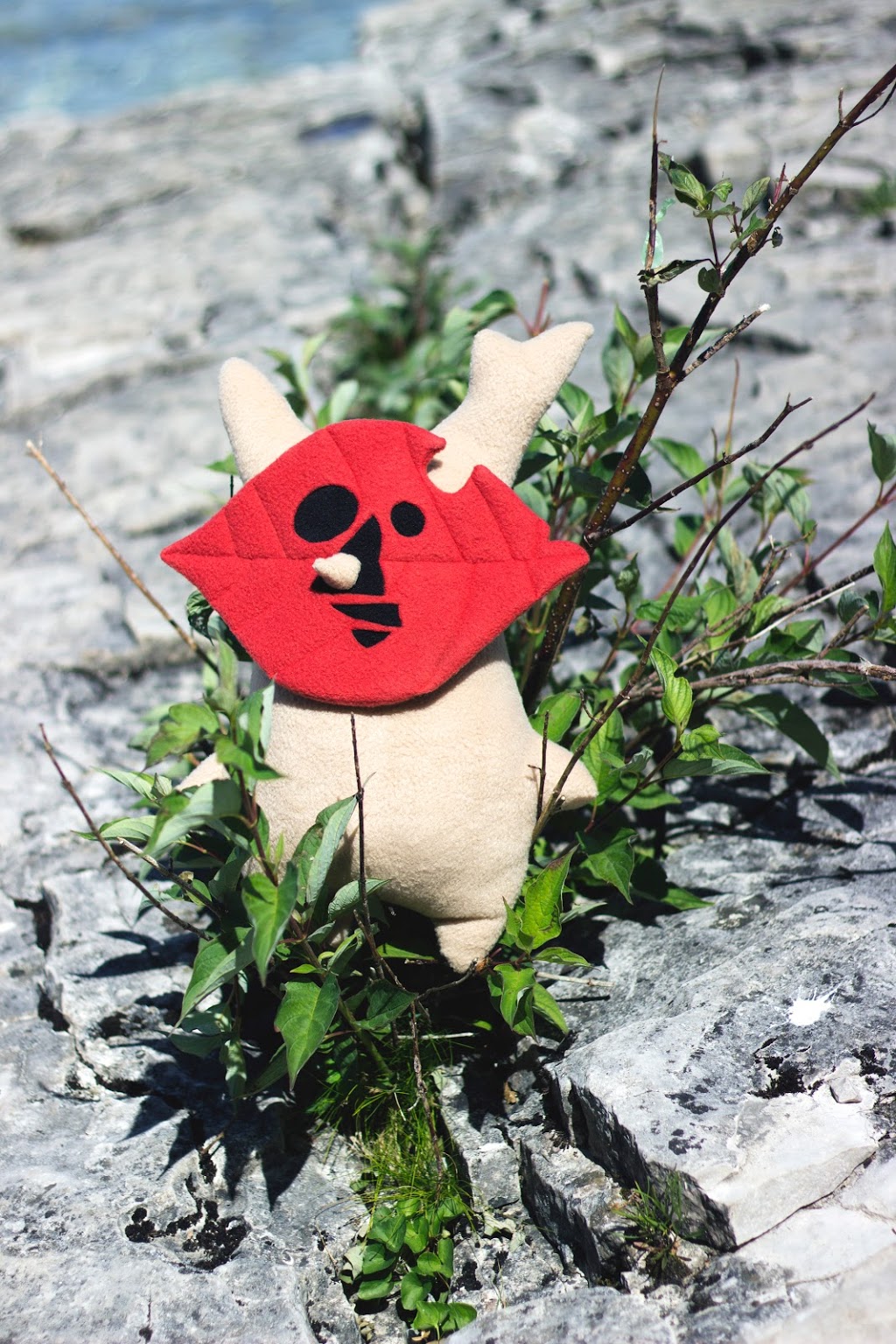 Fletcherable Creations | 705 Trinity St, Innisfil, ON L9S 2G7, Canada | Phone: (705) 770-8909