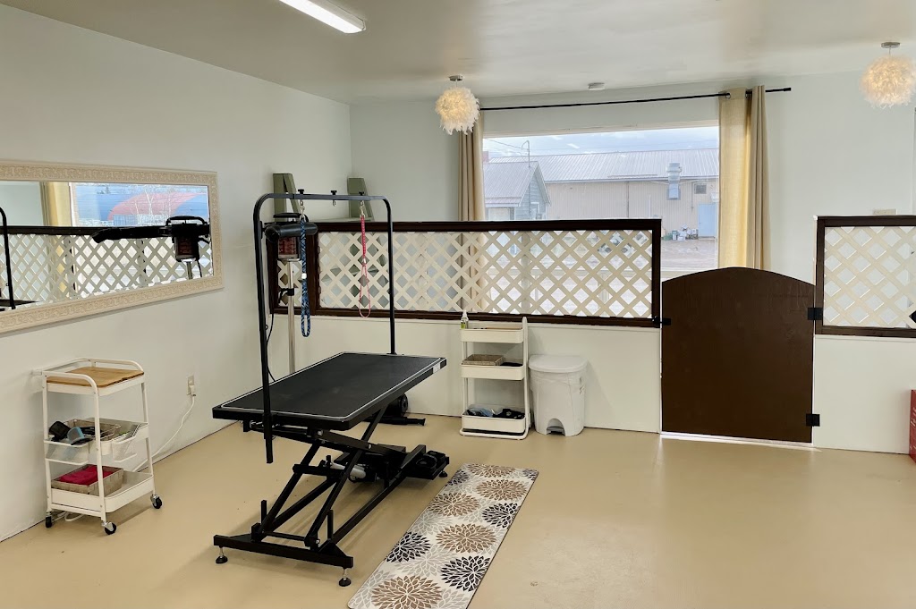 Paiges Puppy Spa | 197 Pictou Rd #2, Truro, NS B2N 2S7, Canada | Phone: (902) 957-1994