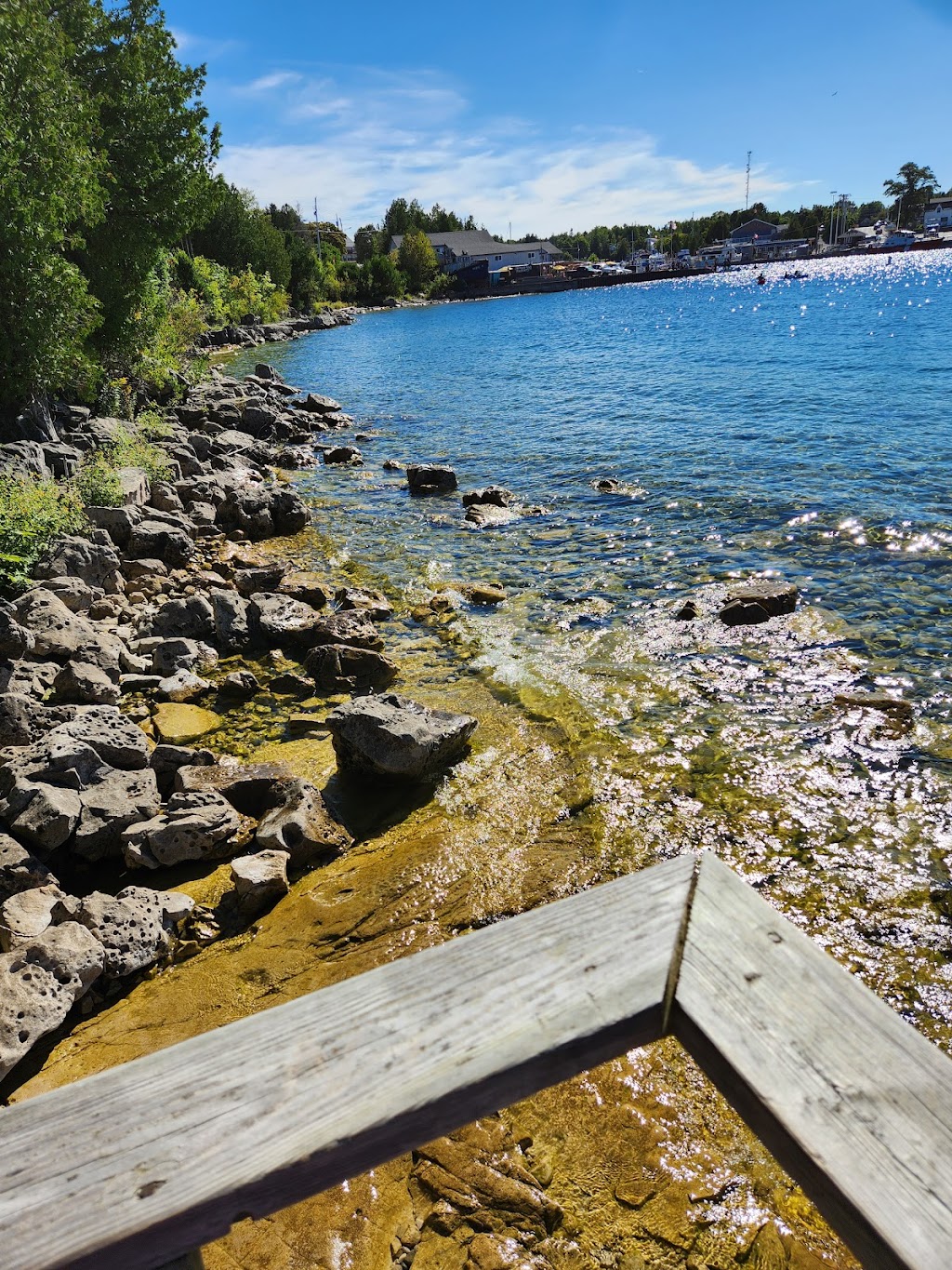 Coconut Joes Harbour Bar and Grill | 53 Bay St, Tobermory, ON N0H 2R0, Canada | Phone: (705) 539-0180