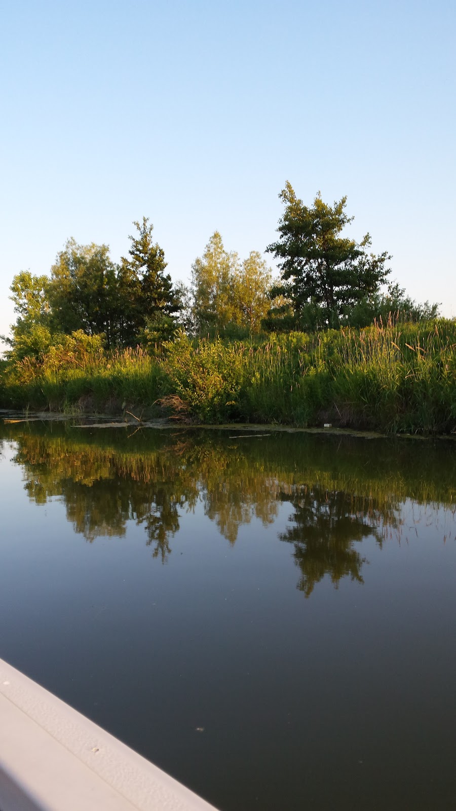 Shared Harvest | 834 N Shore Dr, Dunnville, ON N1A 2W5, Canada | Phone: (905) 701-7255