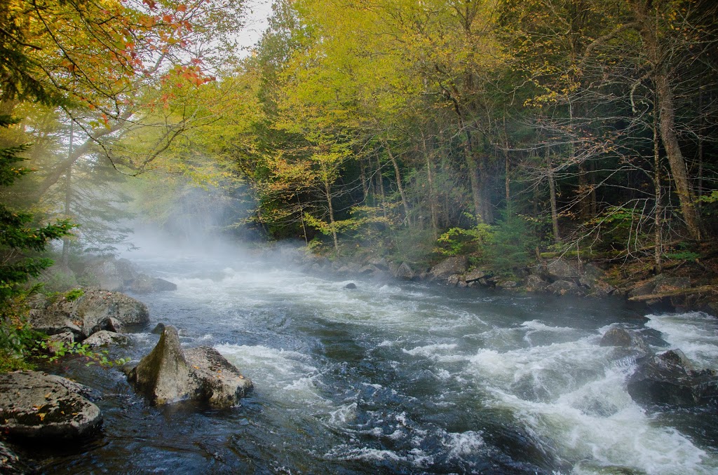 Lake Francis State Park | 439 River Rd, Pittsburg, NH 03592, USA | Phone: (603) 538-6965